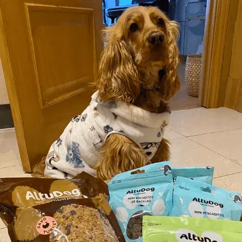 Mascota junto a alimentación natural