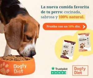 Dogfy Diet